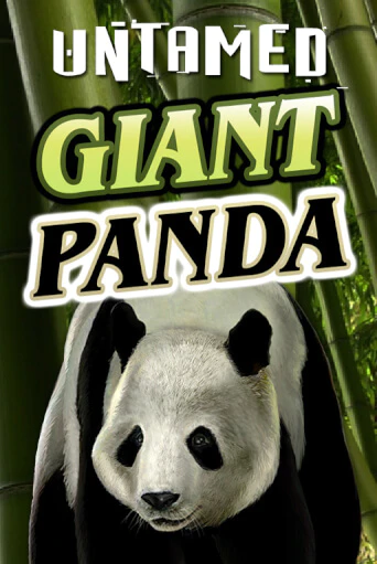 Играть в Untamed - Giant Panda от Microgaming | Казино Сhampion Slots 