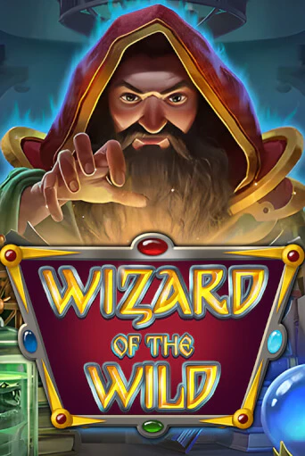 Играть в Wizard of the Wild от Platipus | Казино Сhampion Slots 