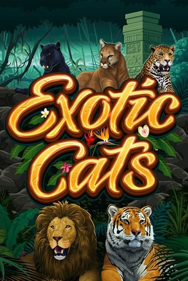 Играть в Exotic Cats от Games Global | Казино Сhampion Slots 